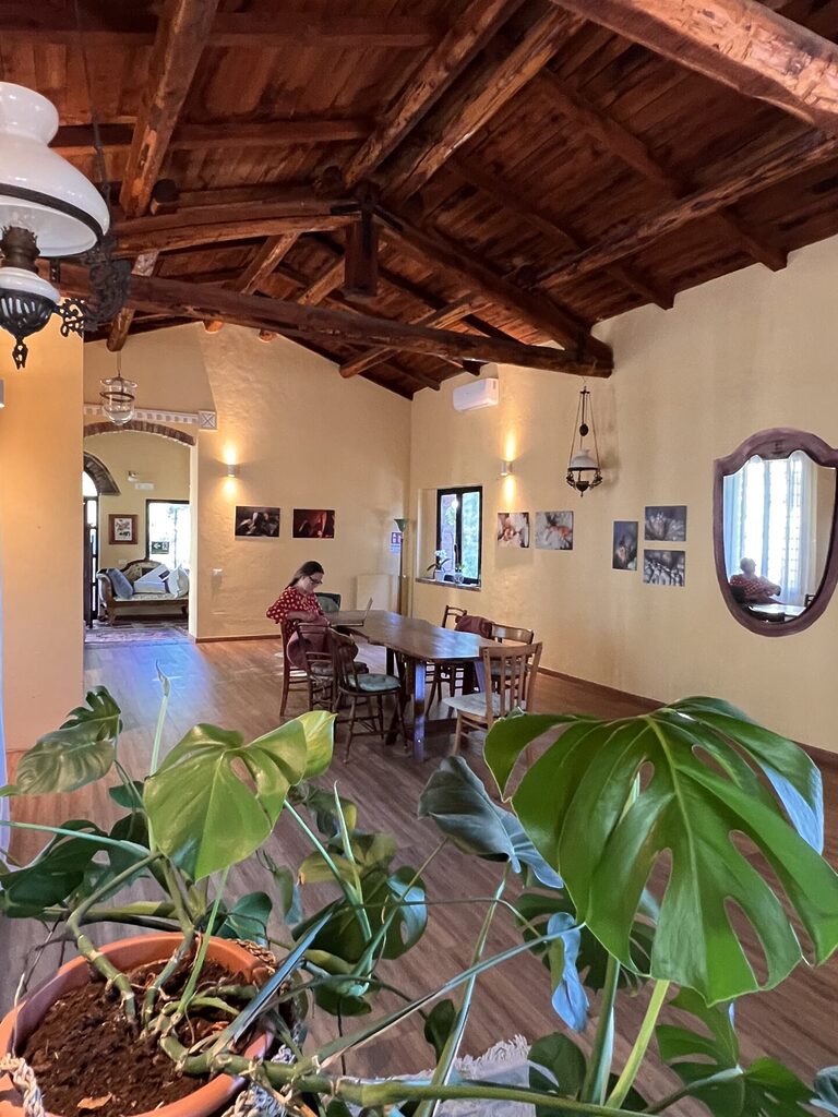 eventi conviviovegetriano collevecchio